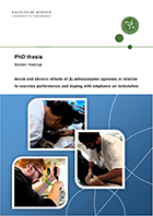 Frontpage of PhD thesis