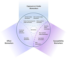 Classification figure