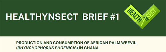 Ghana brief